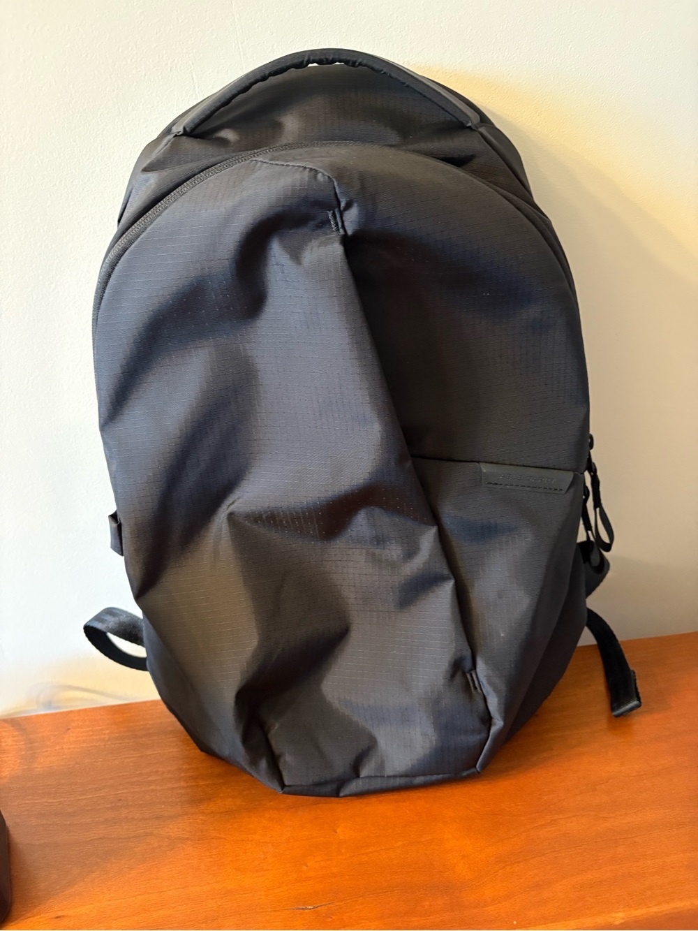 Able Carry Thirteen Backpack